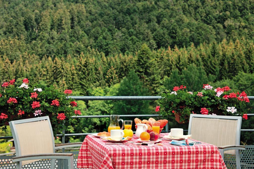 Logis Hotel Le Vetine Le Valtin Luaran gambar